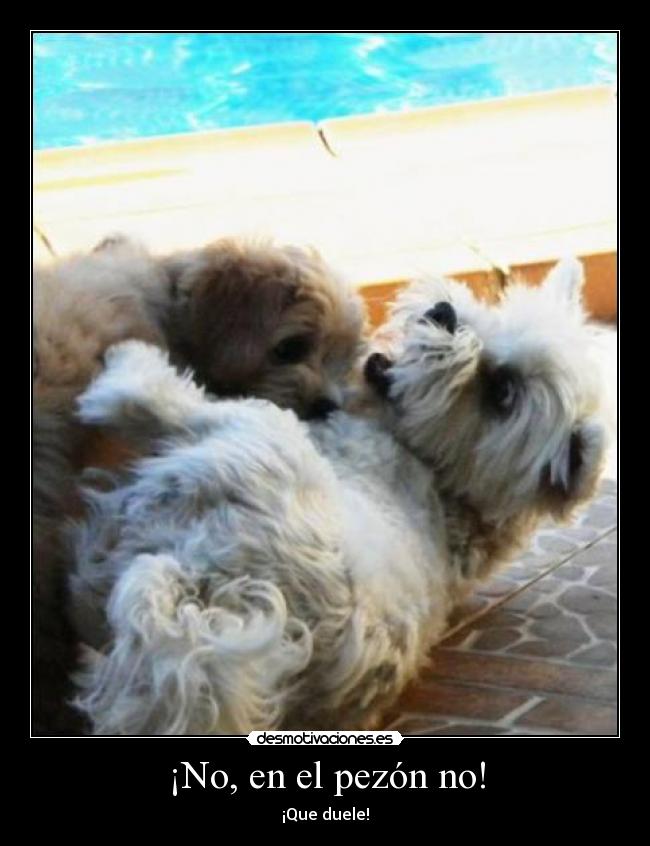 ¡No, en el pezón no! - ¡Que duele!