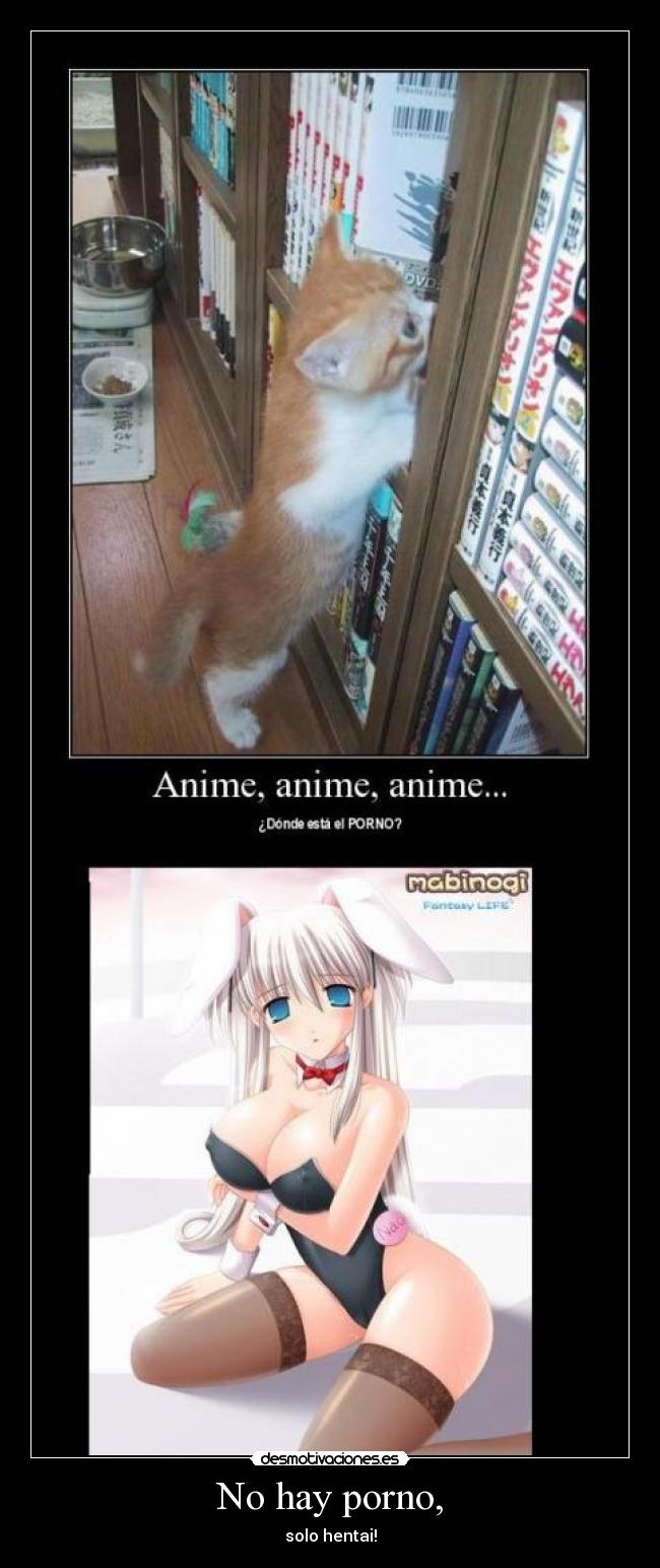 No hay porno, -