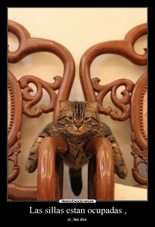 Las sillas estan ocupadas , - si , las dos