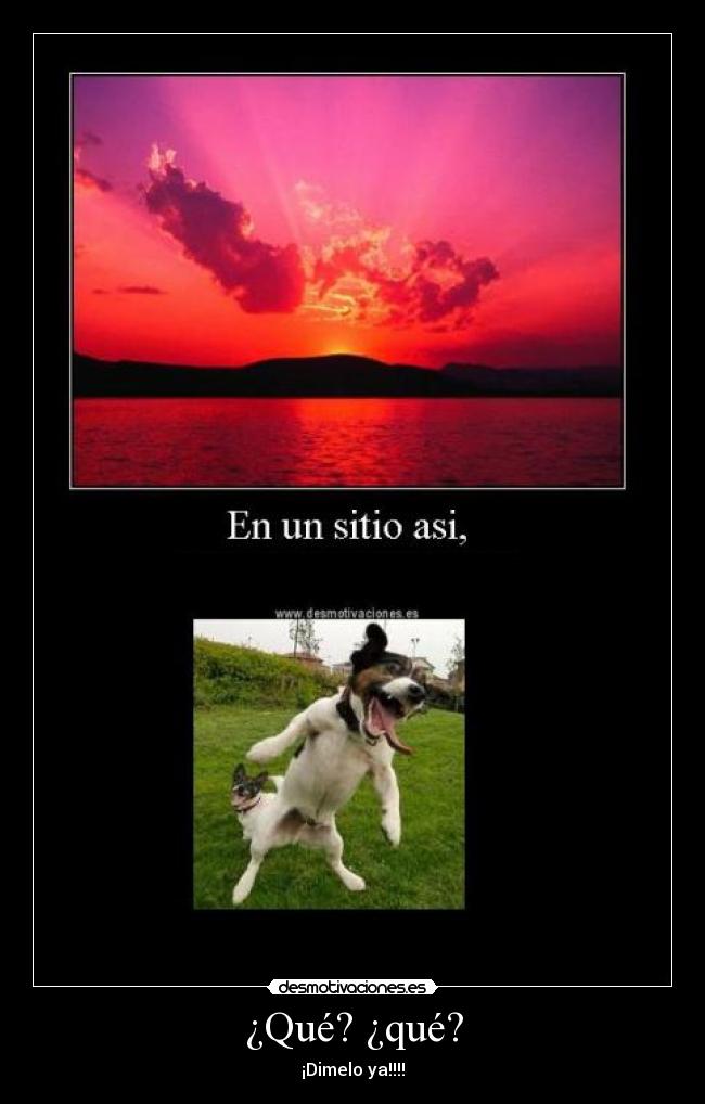 ¿Qué? ¿qué? - ¡Dimelo ya!!!!