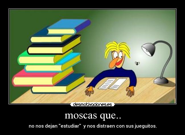 moscas que.. - 