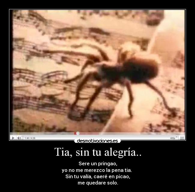 Tia, sin tu alegría.. - Sere un pringao,
yo no me merezco la pena tia. 
Sin tu valía, caeré en picao,
me quedare solo.
