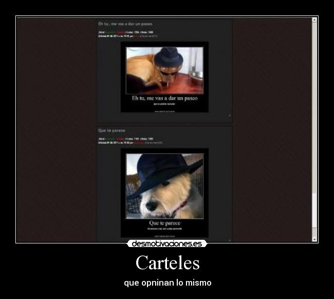 Carteles - que opninan lo mismo