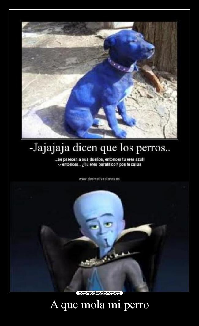 A que mola mi perro -