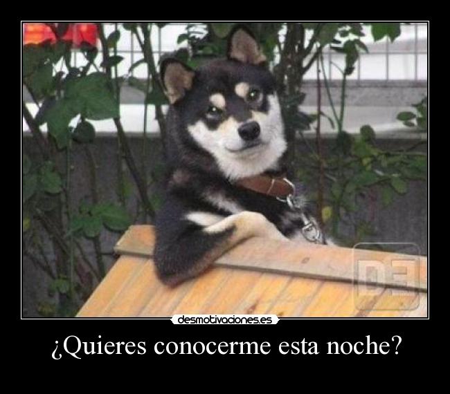 ¿Quieres conocerme esta noche? -