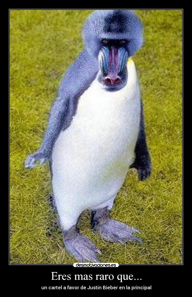 Eres mas raro que... - 