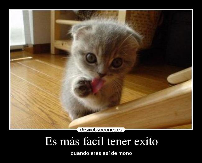 Es más facil tener exito - cuando eres así de mono