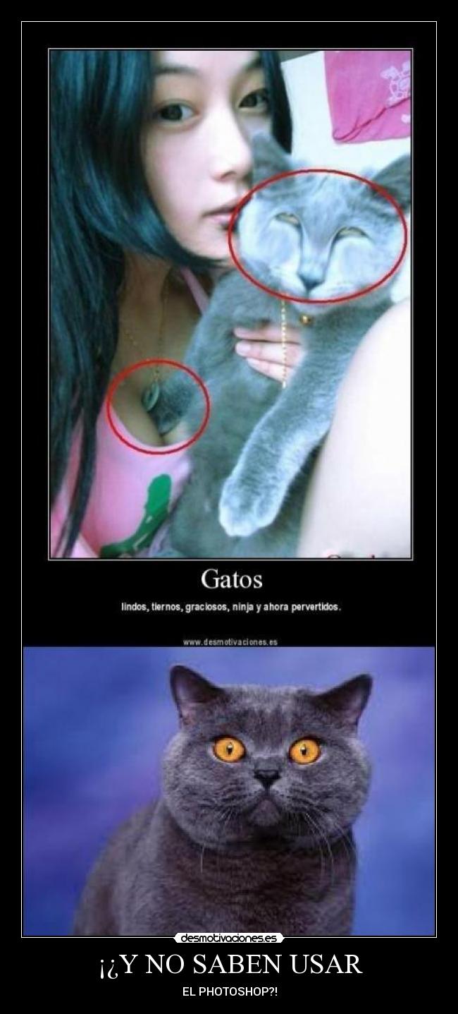 ¡¿Y NO SABEN USAR -