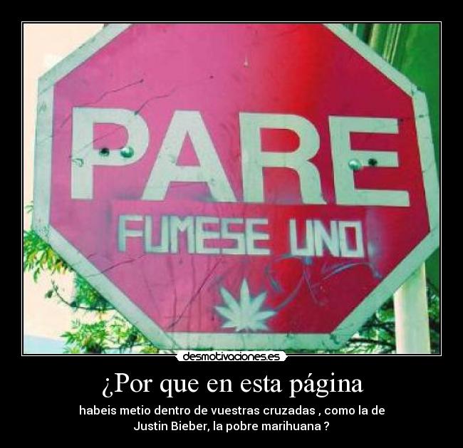 ¿Por que en esta página -