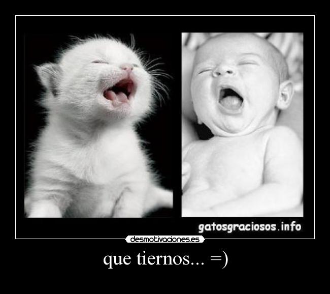 que tiernos... =) -