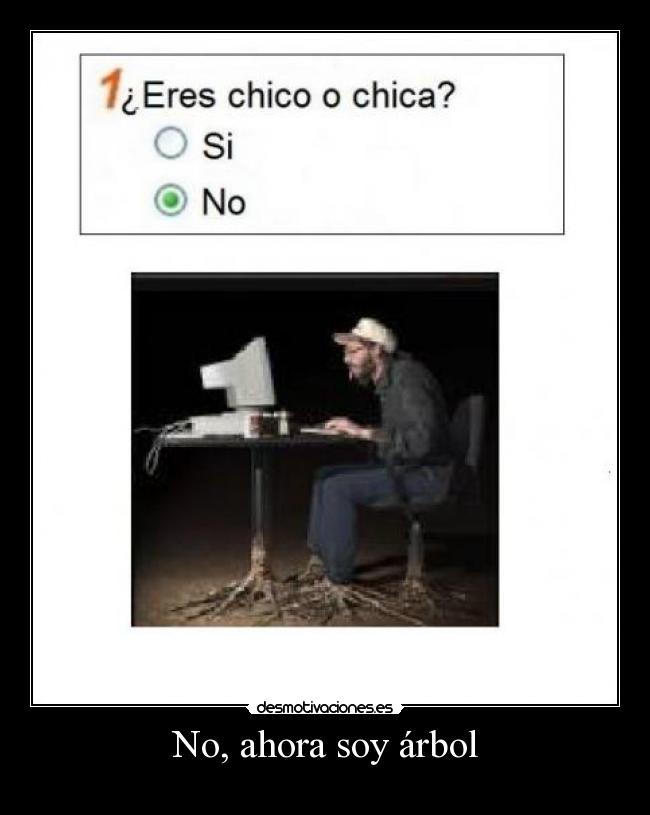 No, ahora soy árbol -