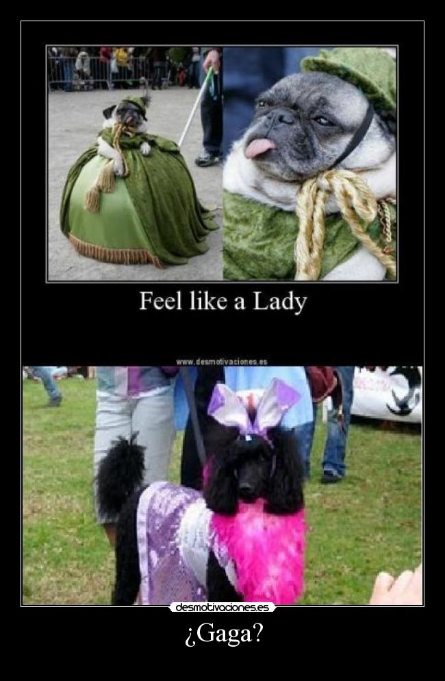 ¿Gaga? -
