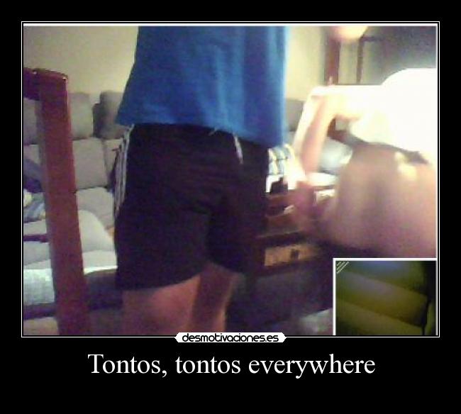 Tontos, tontos everywhere -
