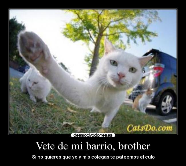 Vete de mi barrio, brother - Si no quieres que yo y mis colegas te pateemos el culo