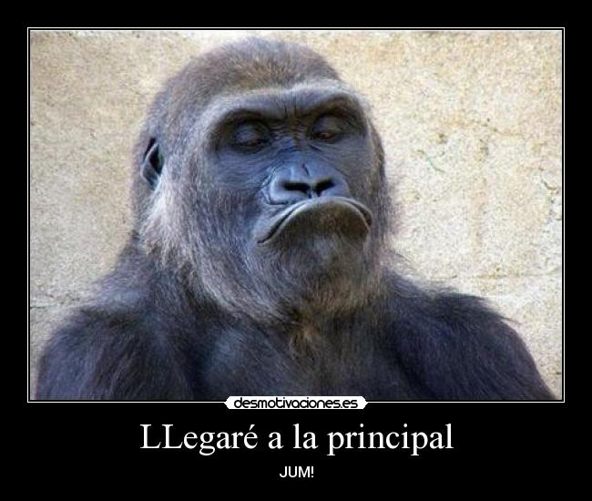 LLegaré a la principal - JUM!