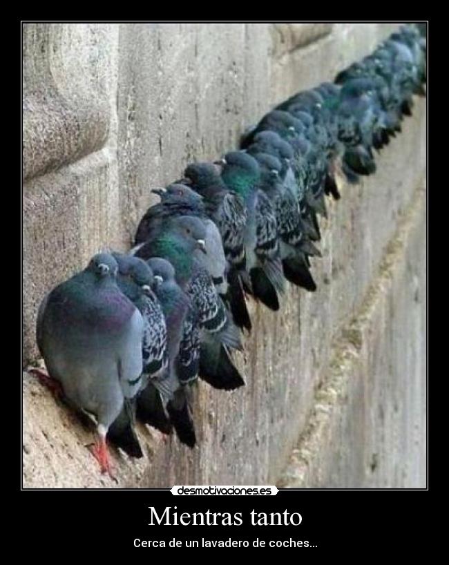 Mientras tanto - Cerca de un lavadero de coches...