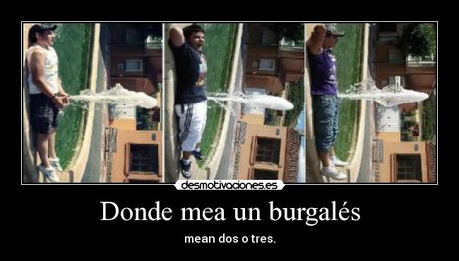 Donde mea un burgalés - mean dos o tres.