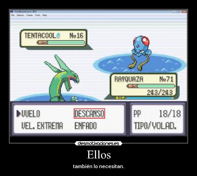 Ellos - también lo necesitan.