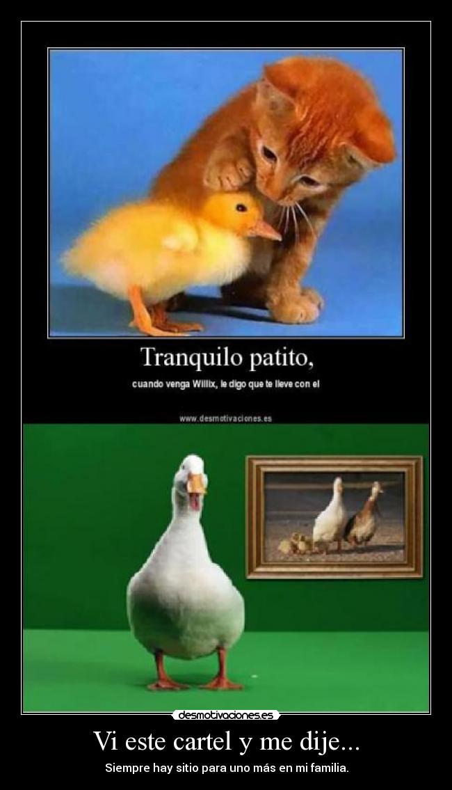 Vi este cartel y me dije... - Siempre hay sitio para uno más en mi familia.