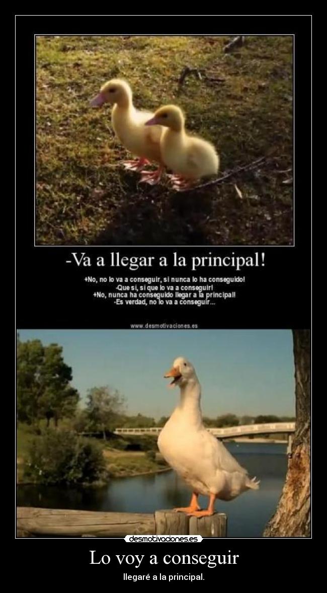 Lo voy a conseguir - 