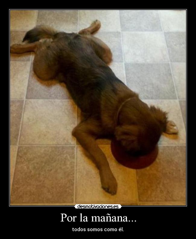 Por la mañana... - todos somos como él.
