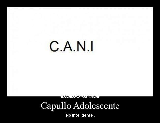 Capullo Adolescente - No Inteligente .