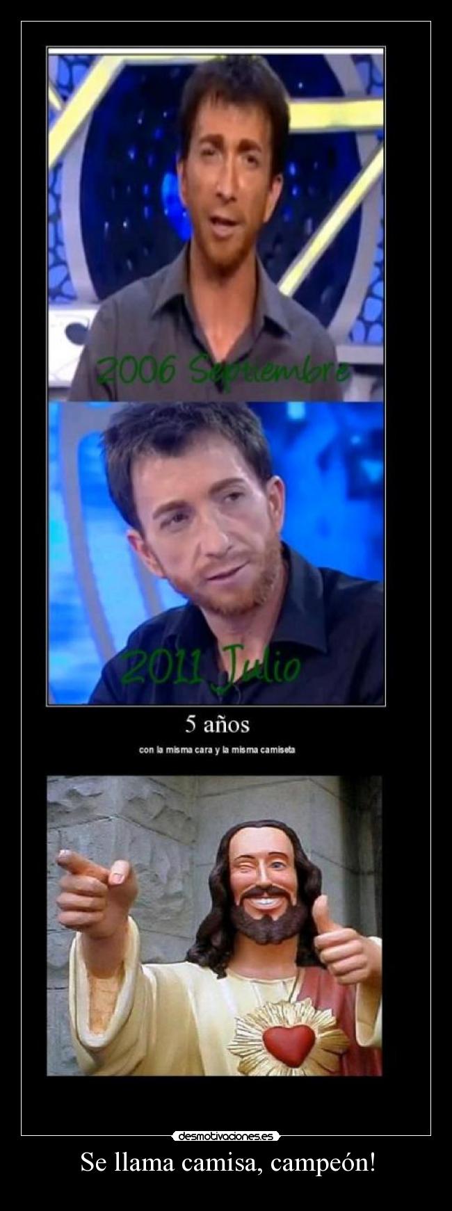 carteles llama camisa campeon desmotivaciones