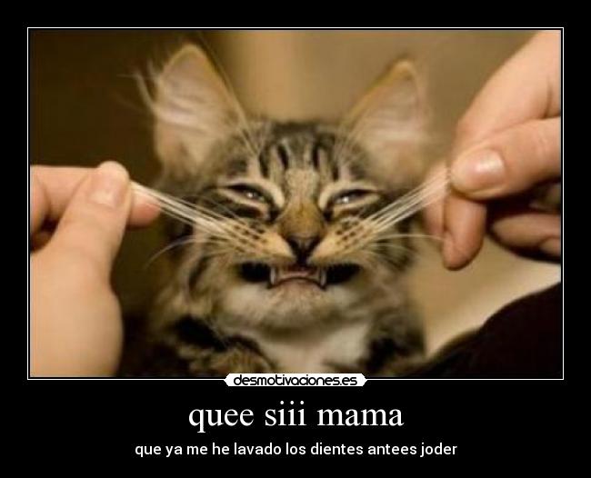 quee siii mama - 