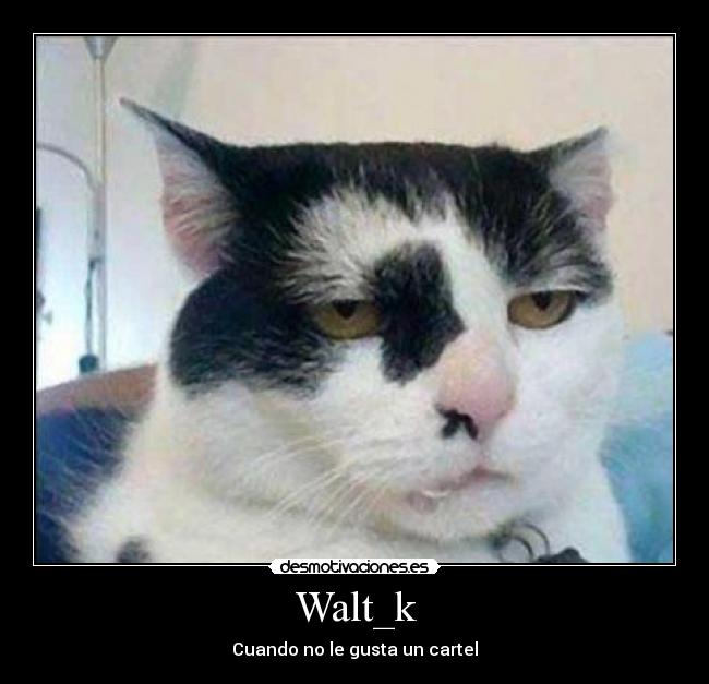 Walt_k -