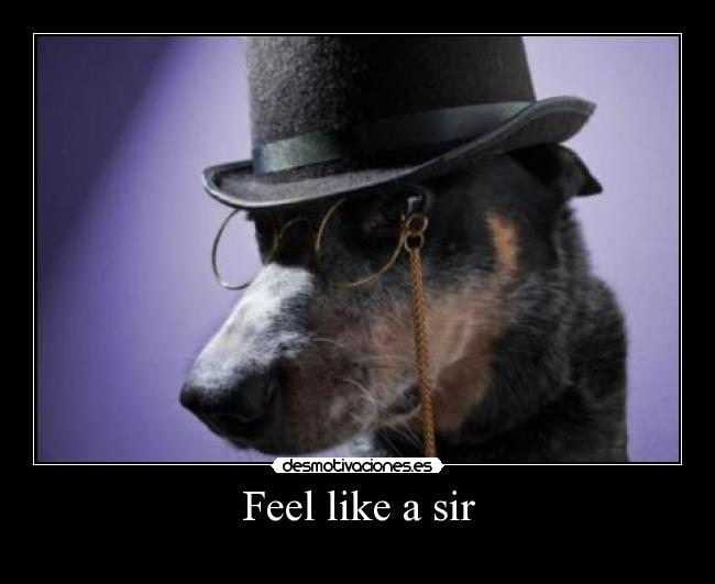 Feel like a sir -