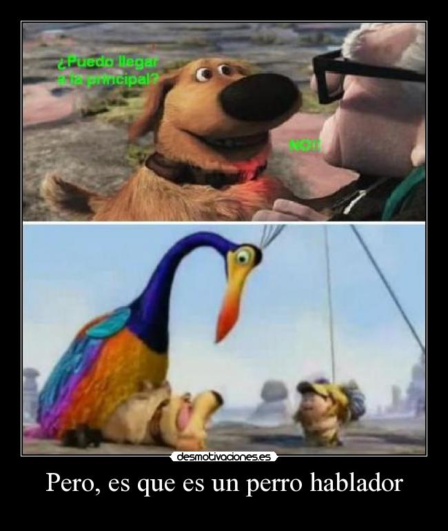 Pero, es que es un perro hablador -