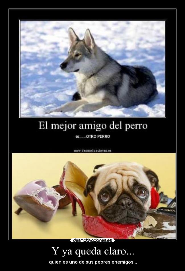 Y ya queda claro... - quien es uno de sus peores enemigos...