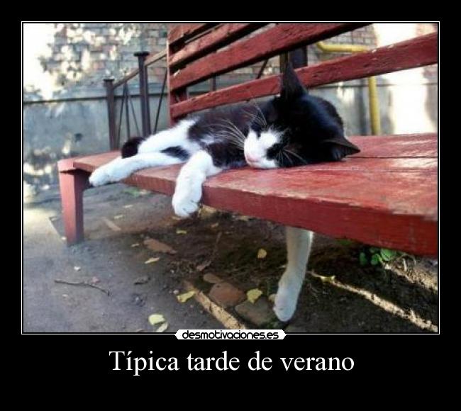 Típica tarde de verano -