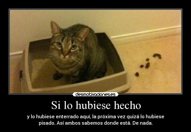 carteles gato desmotivaciones