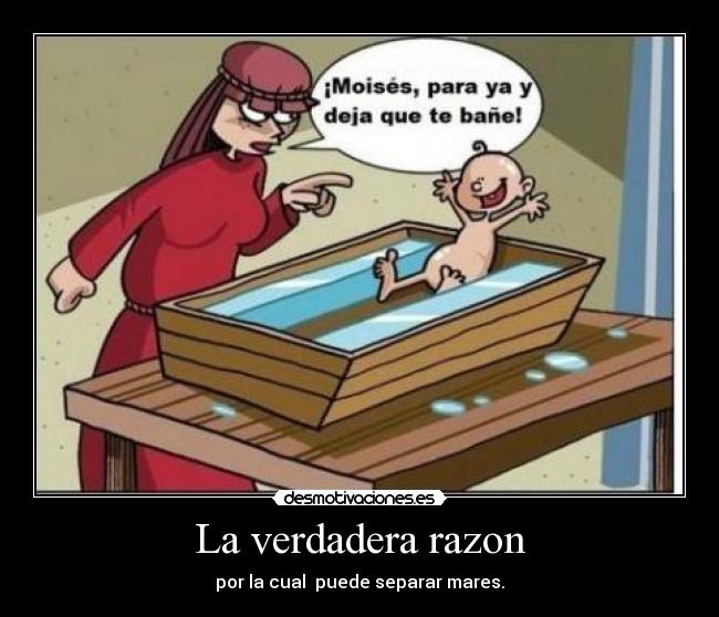 La verdadera razon -