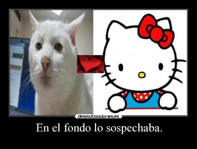 En el fondo lo sospechaba. -