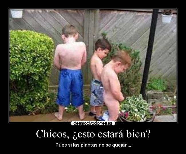 Chicos, ¿esto estará bien? - Pues si las plantas no se quejan...