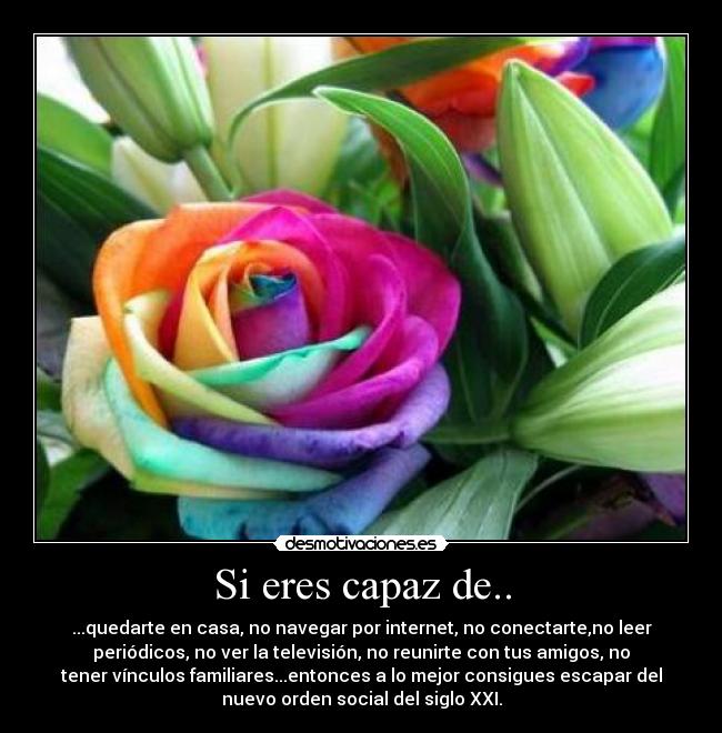 Si eres capaz de.. -