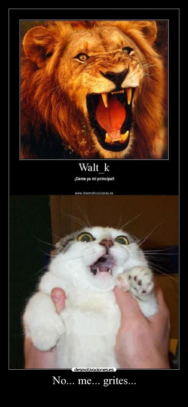 No... me... grites... -