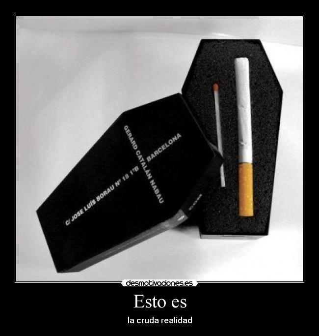 Esto es - la cruda realidad