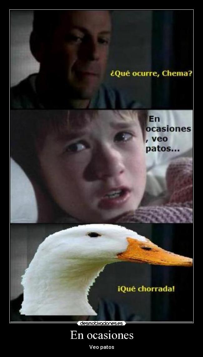 En ocasiones - Veo patos