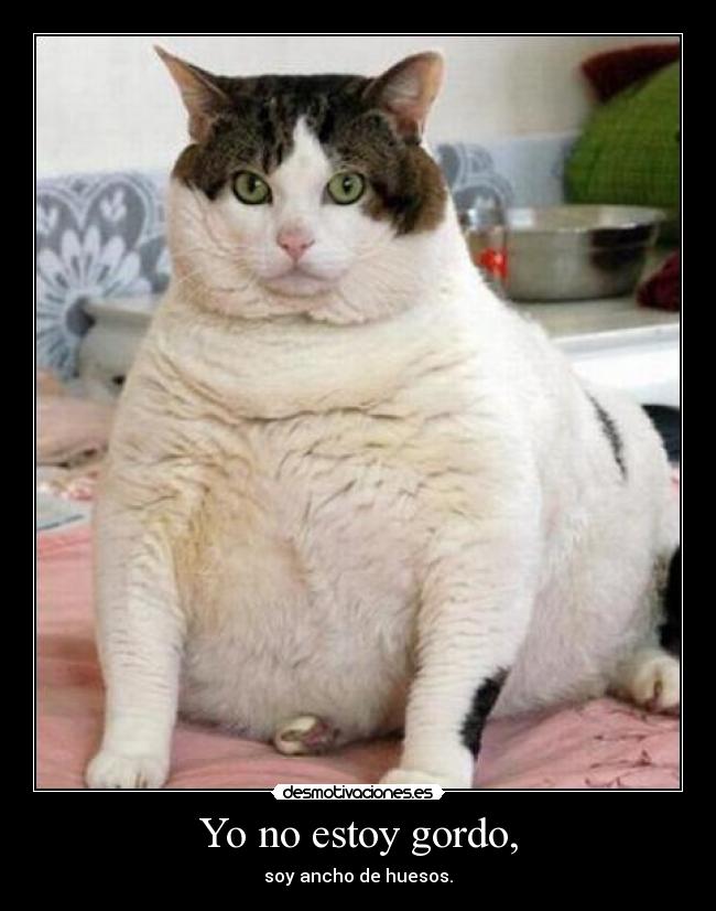 Yo no estoy gordo, - 