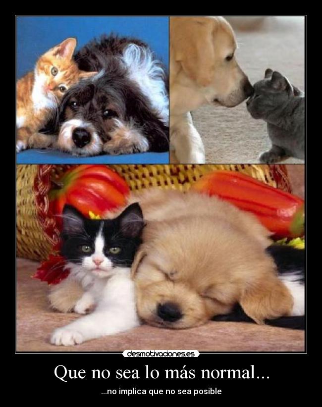 Que no sea lo más normal... -
