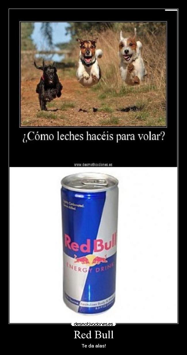 Red Bull - 