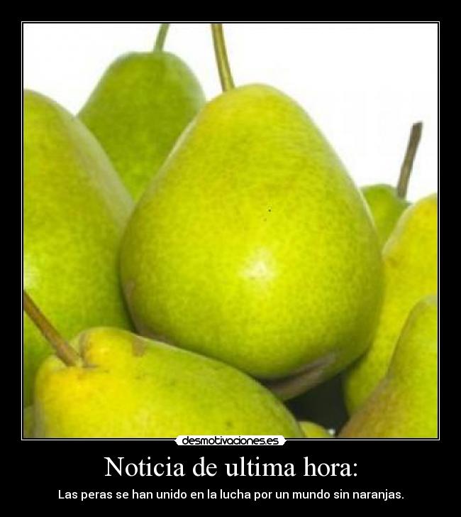 carteles kkildgtu desmotivaciones