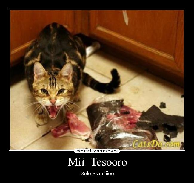 Mii Tesooro - Solo es miiiioo