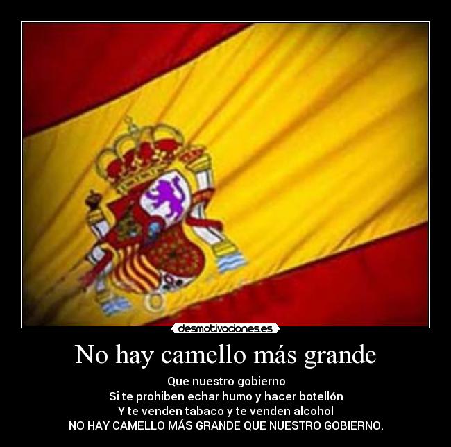 No hay camello más grande -