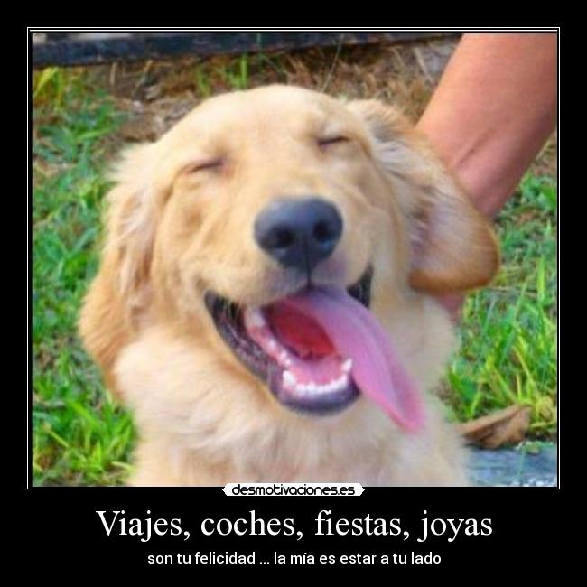 Viajes, coches, fiestas, joyas -