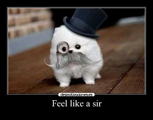 Feel like a sir -