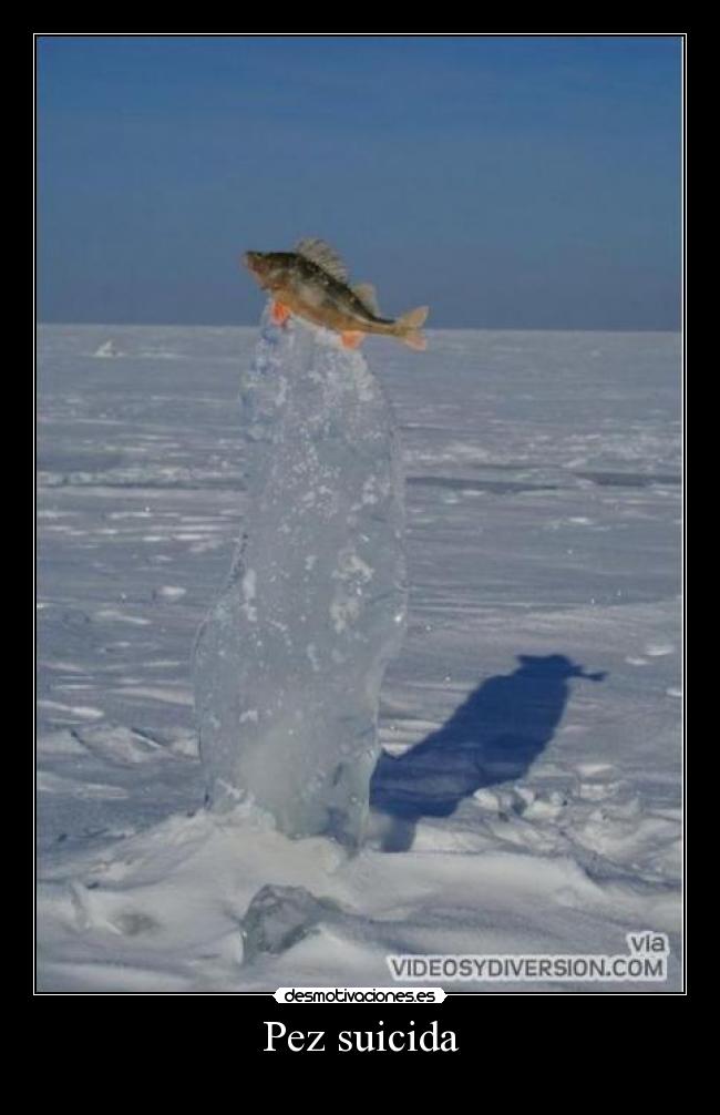 Pez suicida -